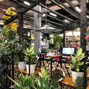 Infrapuna soojuskiirgur Veltron UFO CEILING-LED 2,5kW, must
