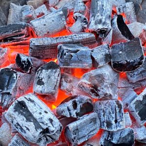 Suuretükiline lepasüsi Grillep 50 l
